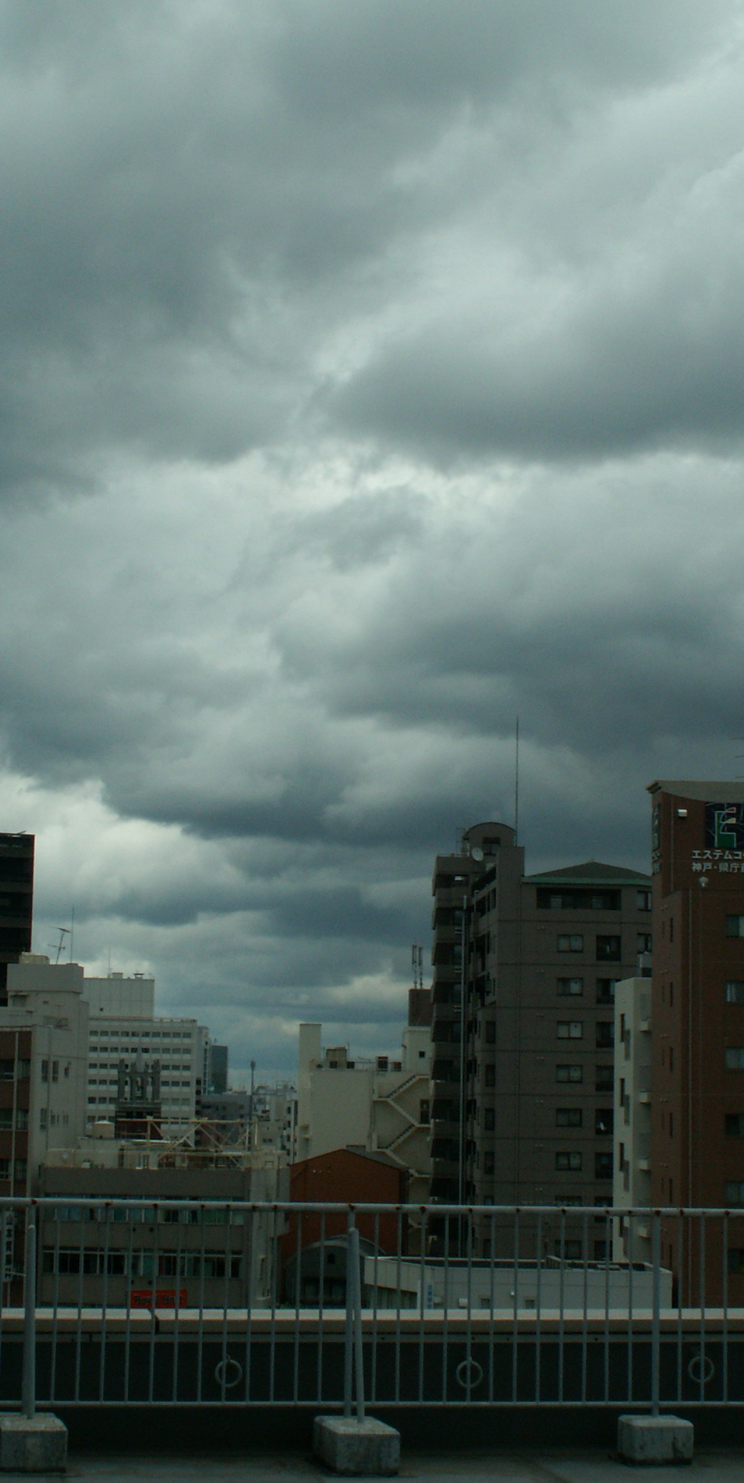 090811kurokumo005.jpg