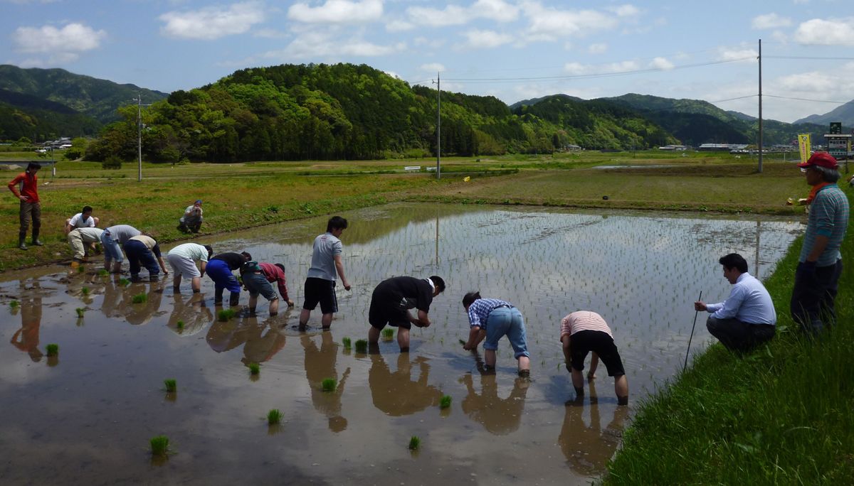 20110507taue007.jpg